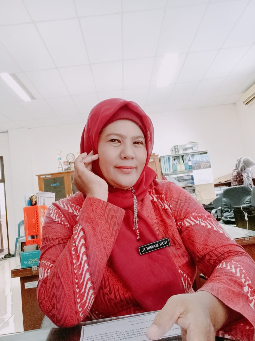 Nur Mamik, S.H